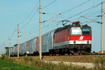 Lokomotiva: 1144.276-1 | Vlak: REX 1640 Einfach-Raus-Ticket! ( Wien Westbf. - Amstetten ) | Msto a datum: Markersdorf a.d.Pielach 06.08.2008