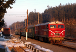 Lokomotiva: 75.005-9 | Vlak: PV 16101 ( Septemvri - Dobrinit ) | Msto a datum: Dobrinit 21.02.2008