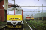 Lokomotiva: 242.209-5 | Vlak: Os 3351 ( Leipzig Hbf. - Cheb ) | Msto a datum: Vojtanov 07.10.1999