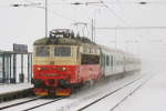 Lokomotiva: 242.255-8 | Vlak: Os 8212 ( esk Budjovice - Tbor ) | Msto a datum: Tbor-pv Dvr 01.12.2010