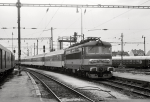 Lokomotiva: 242.283-0 | Vlak: Os 8003 ( Plze hl.n. - esk Budjovice ) | Msto a datum: esk Budjovice 11.05.1992