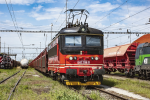 Lokomotiva: 242.288-9 | Vlak: Nex 47777 ( Sedin - Curtici ) | Msto a datum: Rusovce 05.08.2017