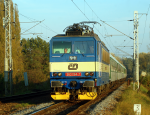 Lokomotiva: 363.064-7 | Vlak: R 902 Pradd ( Jesenk - Brno hl.n. ) | Msto a datum: Brno hl.n.   29.10.2010