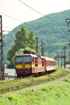Lokomotiva: 372.013-3 | Vlak: EC 176 ( Praha hl.n. - Hamburg-Altona ) | Msto a datum: st nad Labem jih 10.04.1999