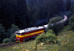 Lokomotiva: 754.078-4 | Vlak: Sp 1751 ( Tnit nad Orlic - Jesenk ) | Msto a datum: Brann 20.08.1995