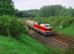 Lokomotiva: 219.157-5 | Vlak: R 8687 ( Plauen (Vogtl.) Hbf. - Hof Hbf. ) | Msto a datum: Grobau 11.05.1994