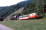 Lokomotiva: 1099.008-3 | Vlak: Vg 71204 ( Kirchberg a.d.Pielach - Ober Grafendorf ) | Msto a datum: Mainburg 08.08.1995