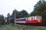 Lokomotiva: 1099.008-3 | Vlak: Vg 71204 ( Kirchberg a.d.Pielach - St.Pölten Alpenbahnhof ) | Místo a datum: Hofstetten-Grünau 08.08.1995