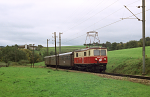 Lokomotiva: 1099.013-3 | Vlak: R 6832 ( Laubenbachmhle - St.Plten Hbf. ) | Msto a datum: Hofstetten-Grnau 09.10.1993
