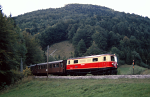 Lokomotiva: 1099.014-1 | Vlak: R 6880 ( Mariazell - St.Plten Hbf. ) | Msto a datum: Unter Buchberg 05.10.1994