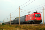 Lokomotiva: 1116.083-5 | Vlak: EN 467  Wiener Walzer ( Zrich HB - Budapest Kel.pu. ) | Msto a datum: Markersdorf a.d.Pielach 08.08.2007