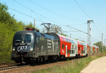 Lokomotiva: 1116.153 | Vlak: R 2337 ( Břeclav - Wr.Neustadt Hbf. ) | Místo a datum: Břeclav (CZ) 08.05.2012