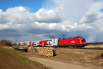 Lokomotiva: 1116.180-9 | Vlak: REX 2345 ( Beclav - Payerbach-Reichenau ) | Msto a datum: Drsing 24.03.2009