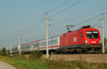 Lokomotiva: 1116.217-9 | Vlak: EN 491 Hans Albers ( Hamburg-Altona - Wien Westbf. ) | Místo a datum: Gross Sierning 06.08.2008