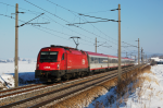 Lokomotiva: 1216.210 | Vlak: OIC 746 LICHT FÜR DIE WELT ( Wien Westbf. - Salzburg Hbf. ) | Místo a datum: Ollersbach 27.01.2010