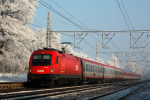 Lokomotiva: 1216.236 | Vlak: EC 172 Vindobona ( Wien Sdbf. - Hamburg-Altona ) | Msto a datum: Rostoklaty (CZ) 09.01.2009