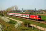 Lokomotiva: 1216.237 | Vlak: EC 173 Vindobona ( Hamburg-Altona - Villach Hbf. ) | Místo a datum: Žabčice (CZ) 25.04.2010