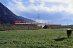 Lokomotiva: 4010. | Vlak: IC 514 Schöckl ( Spielfeld-Strass - Innsbruck Hbf. ) | Místo a datum: Maishofen-Saalbach 07.10.1993