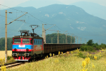 Lokomotiva: 40-1020-7 | Vlak: DTV 30641 (Ilijanci - Razdelna ) | Místo a datum: Christo Danovo 26.06.2008