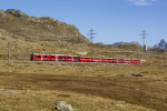 Lokomotiva: ABe 8/12 3502 | Vlak: R 4656 ( Tirano - St.Moritz ) | Místo a datum: Ospizio Bernina 25.09.2021