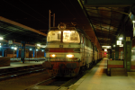 Lokomotiva: 240.053-9 + 240.044-8 | Vlak: Rn 49042 ( Linz Voestalpine - Tychy ) | Msto a datum: Havlkv Brod 28.11.2009
