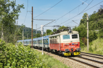 Lokomotiva: 242.234-3 | Vlak: Os 4905 ( Žďár nad Sázavou - Vranovice ) | Místo a datum: Tišnov   26.06.2019