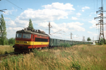 Lokomotiva: 242.255-8 | Vlak: R 764 ( České Budějovice - Plzeň hl.n. ) | Místo a datum: Nemanice 28.08.1994