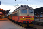 Lokomotiva: 242.272-3 | Vlak: R 817 ( Brno hl.n. - Hodonín ) | Místo a datum: Brno hl.n. 30.05.2010