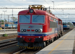 Lokomotiva: 242.555-1 ( LOKORAIL )+ 740.787-7 ( LOKORAIL ) | Msto a datum: Beclav 31.05.2013