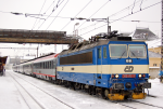 Lokomotiva: 362.172-9 | Vlak: EC 103 Polonia ( Warszawa Wsch. - Villach Hbf. ) | Msto a datum: Perov 09.01.2010
