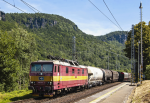 Lokomotiva: 372.013-3 | Vlak: Pn 45330 ( Děčín hl.n. - Dresden-Friedrichstadt ) | Místo a datum: Dolní Žleb zastávka 04.07.2014
