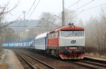 Lokomotiva: 749.008-9 | Vlak: Rn ( Lichkov - Temeln ) | Msto a datum: Pyely 28.03.2006