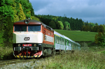 Lokomotiva: 749.248-1 | Vlak: R 900 ( Jesenk - Brno hl.n. ) | Msto a datum: Brann 05.10.2002