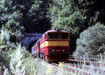 Lokomotiva: 754.026-3 ( T478.4026 ) + 754.044-6 ( T478.4044 ) | Vlak: R 674 Podluan ( trovo - Praha hl.n. ) | Msto a datum: Babice nad Svitavou 09.08.1990