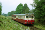 Lokomotiva: 830.154-1 | Vlak: Os 2665 ( Varnsdorf - Děčín hl.n. ) | Místo a datum: Rybniště 30.08.2002