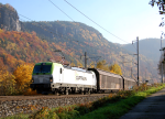 Lokomotiva: 193.891-9 | Vlak: Nex 42338 | Místo a datum: Dolní Žleb zastávka (CZ) 31.10.2015