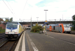 Lokomotiva: 246.007-9, 246.010-3 | Vlak: ME 81510 ( Cuxhaven - Hamburg Hbf. ), ME 81511 ( Hamburg Hbf. - Cuxhaven ) | Msto a datum: Hamburg-Harburg 14.10.2014