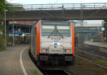 Lokomotiva: 246.010-3 | Vlak: ME 81511 ( Hamburg Hbf. - Cuxhaven ) | Místo a datum: Hamburg-Harburg 14.10.2014
