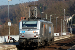 Lokomotiva: BB 37025 | Místo a datum: Königstein 11.03.2014