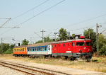 Lokomotiva: 441-604 | Vlak: P 2401 ( Subotica - Beograd ) | Místo a datum: Novi Sad 19.08.2013