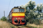 Lokomotiva: 750.107-5 | Vlak: Sp 413 Gerulata ( Bratislava Nove Město - Budapest ) | Místo a datum: Horná Zlatná 04.10.1995