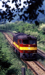 Lokomotiva: 775.012-8 | Vlak: Lv 73037 ( Kriv - Lovinobana ) | Msto a datum: Pla 05.06.1996