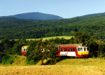 Lokomotiva: 850.018-3 | Vlak: Os 5404 ( Trenčín - Topoľčany ) | Místo a datum: Trenčianske Jastrabie 09.08.1998