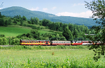 Lokomotiva: 851.025-7 | Vlak: Os 7454 ( Margecany - erven Skala ) | Msto a datum: Helcmanovce 06.08.1998